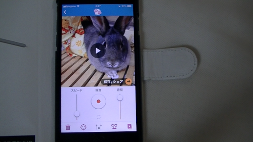 Iphone アイフォン のおもしろアプリ おしゃべりペット でペットがしゃべる 動画ファン